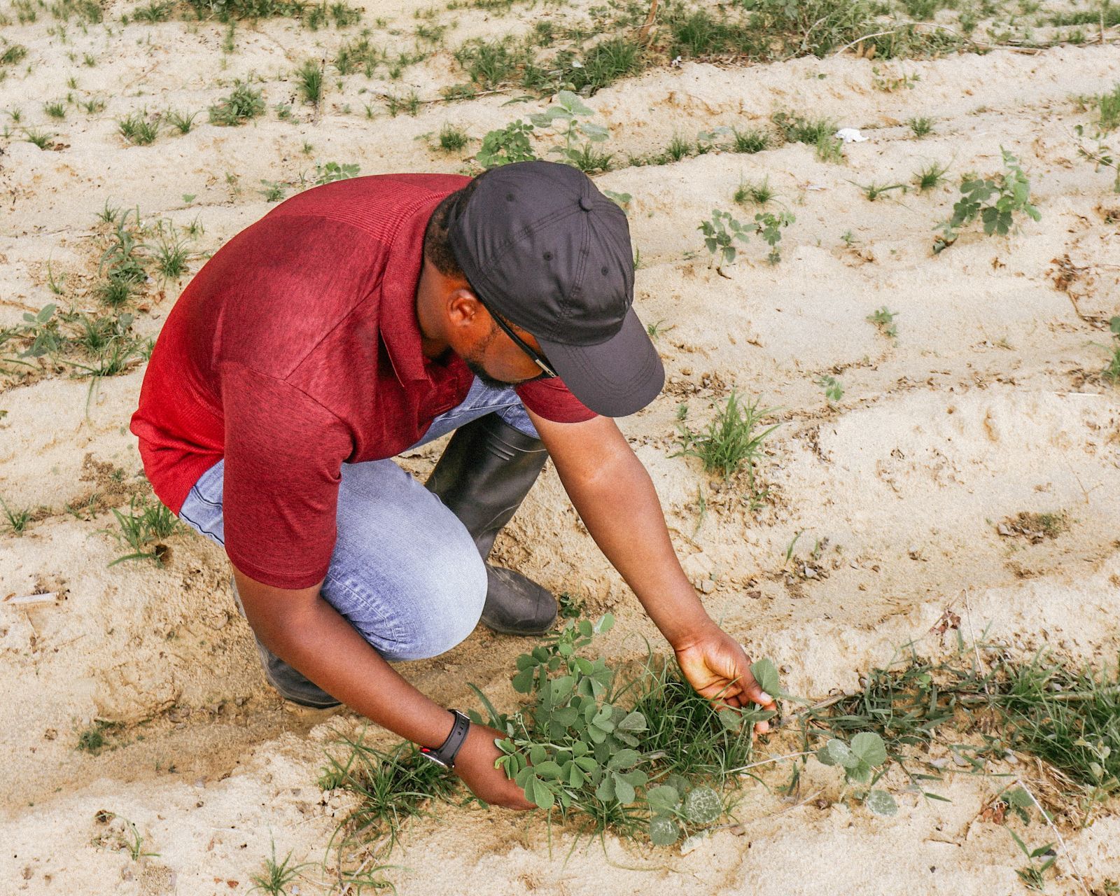 A farmer inspecting crops in the field